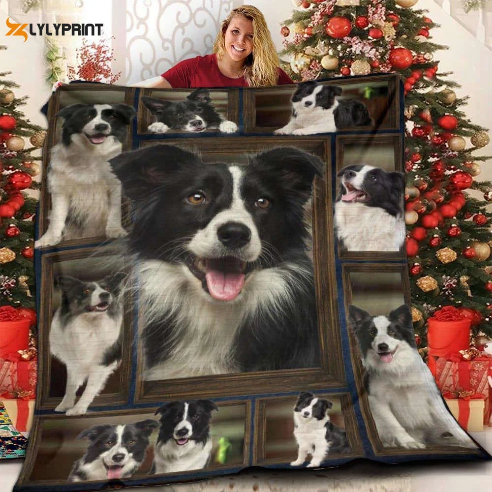 Border Collie Border Collie , Soft Quilt, King Size, All Season Cozy Quilt QB0901